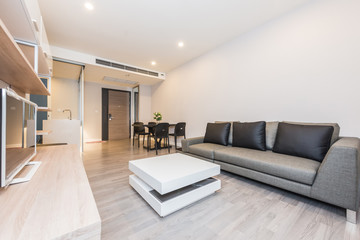 Modern living room interior