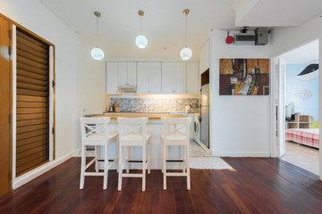 Beautiful Modern Kitchen In New Luxury Home