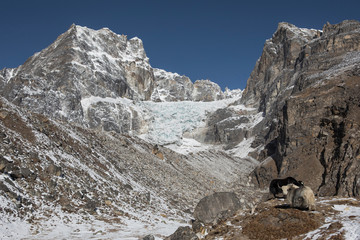 Himalayan Glacier