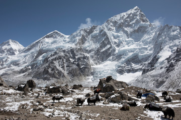 Everest Base Camp Trek
