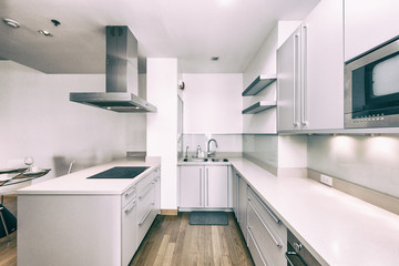 Modern gourmet kitchen interior