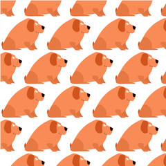 A golden retriever looking at the viewer. Cartoon vector style.