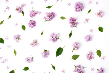 Pattern with lilac petals on white background. Flat lay, top view
