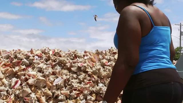 The Original Bahama Mama Holding Conch Shell, Conch Shell Palace,  West End Grand Bahama, Bahamas