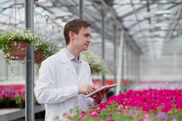 A young man in a white coat, a scientist biologist or agronomist examines and analyzes the flowers...