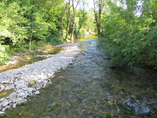 Obraz premium River flows in the forest