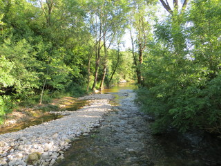 Fototapeta na wymiar River flows in the forest