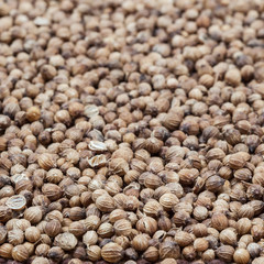 Dried coriander seeds background