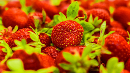 just fresh red strawberries without green leaves