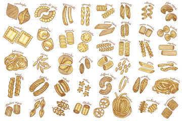 Italian Pasta Collection in Hand-Drawn Style
