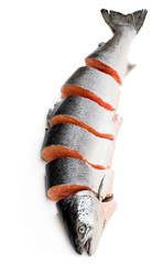 Fototapety na wymiar - Fototapeta24.pl