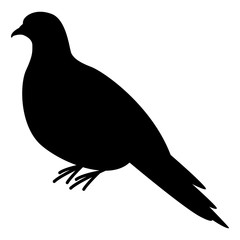 turtledove, vector illustration, black silhouette ,profile