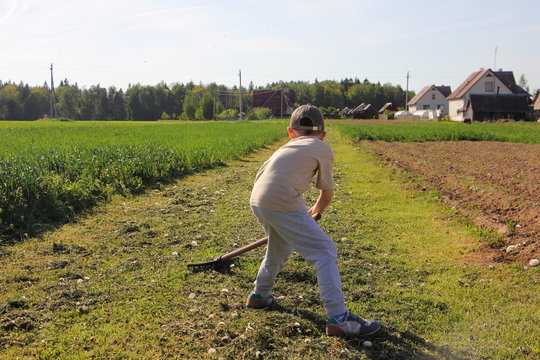 Small russian farmer, young child boy rakes to rake the mown green grass on a rural yard on Sunny summer day on rural background - lifestyle, holidays on nature