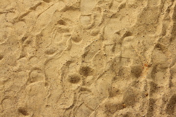 Chaotic footprints in the sand - texture for background