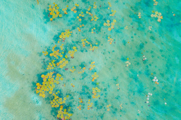 Aerial view of the turquoise Lagoon of Lacanja in the middle of the jungle of Chiapas in Mexico