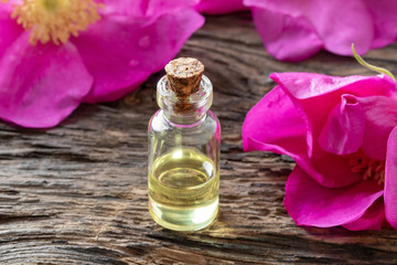 Obraz na płótnie Canvas A bottle of essential oil with Rugosa roses