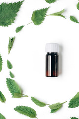 Herbal organic medicine product. Seamless pattern of fresh nettle, peppermint and Bottle of essential oil on white background. Flat lay, top view, copy space