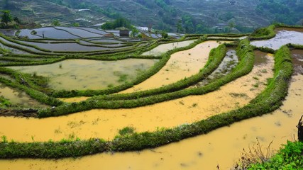 Yuanyang rice-paddy terracing, Yuanyang County, Honghe Han and Hi Autonomous Prefecture, Yunnan Province, China, Asia, UNESCO World Heritage Site