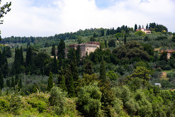 Fototapeta na wymiar beautiful Tuscan countryside near Florence