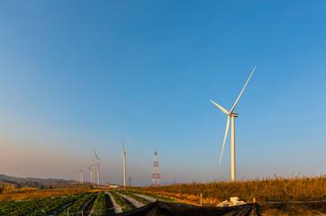 Wind turbine Electricity production by wind energy