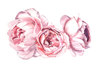 Watercolor hand-painted peony flower bouquet illustration isolated on white background © Salnikova Studio
