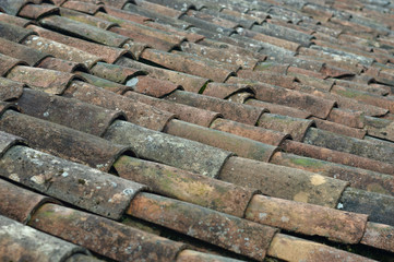moldy roof tiles texture