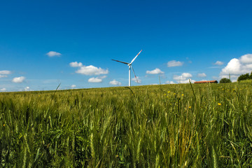 Campo di grano con pala eolica