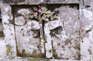 cross decoration in chapel