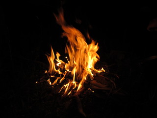 Camp fire in a summer night