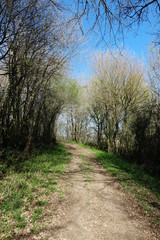 Chemin de randonnée autour de Montreuil Bonnin