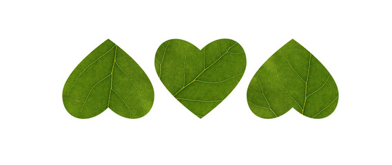 Three hearts carved from a leaf of a tree. Close-up. The concept of health, environmentally friendly. The element of decoration.