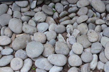 Oval cobblestones of soft rounded shapes, gravel stones, sea boulders, texture background