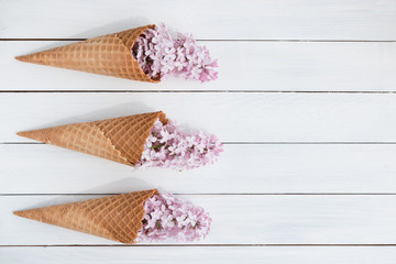 Lilac in a waffle cone. Flowers and ice cream. Concept. Spring. White background. Greeting card for the holiday.