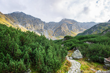 slovakia Tatra mountain tops in misty weather