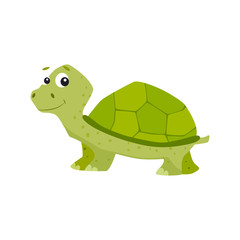 Cartoon turtle vector illustration.