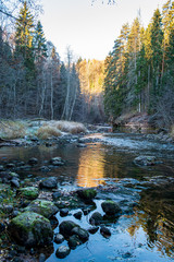 scenic river view landscape of forest rocky stream with trees on the shores