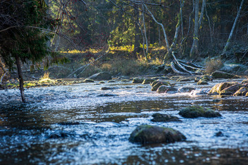 scenic river view landscape of forest rocky stream with trees on the shores