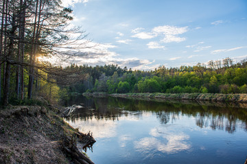 Obraz premium scenic river view landscape of forest rocky stream with trees on the shores