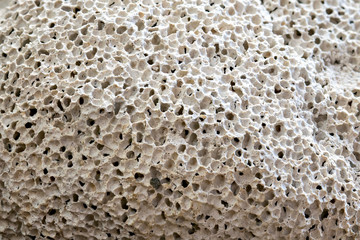 Pumice stone. Macro photography. 