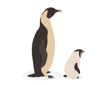 Colorful cartoon penguins. Parent and child. Vector IllustrationColorful cartoon penguins on the ice in Aktika. Parents and children. Vector Illustration