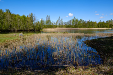 riverside shore in spring with scenic trees and green pastures