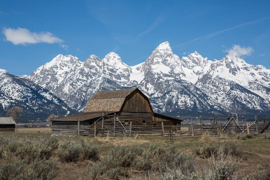 The landmark John Moulton barn in Mormon Row, Grand Teton National Park, Wyoming featuring the snowcapped Tetons. Taken in mid-May during the afternoon. © Kino Alyse
