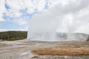 Old Faithful during eruption on a mid-May afternoon in Yellowstone National Park, Wyoming.