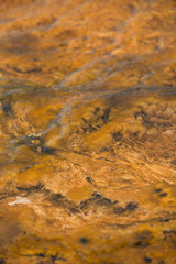 Bacteria, a geothermal feature in Midway Geyser Basin, Yellowstone National Park, Wyoming. Taken during mid-May in the afternoon.
