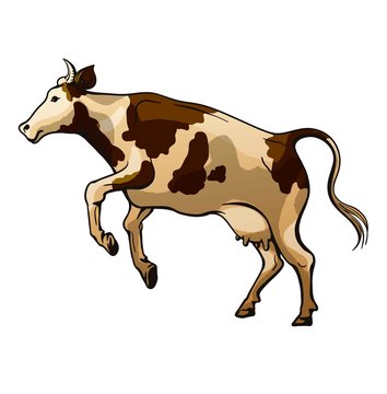 Picture Of A Jumping Cow On A White Background