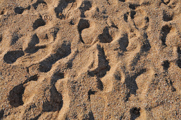 Spuren im Sand