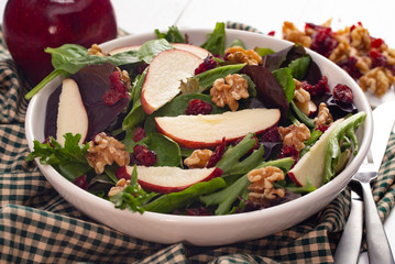 Cranberry Walnut and Apple Salad on a Bed of Mixed Greens