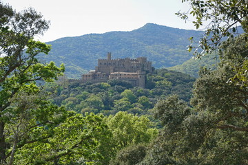 Fototapeta na wymiar Requesens castle surrounded by forest, Albera massif, Alt Emporda, Girona province, Catalonia, Spain