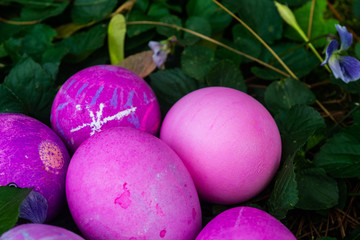 a group of vibrant painted easter eggs in the grass