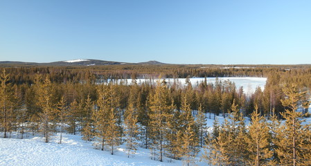 View over forest landscape near Granbergsliden in Lapland